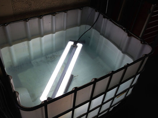 inda_grow_CEO_marijuanagrowlights_grow_your_own_food_grow_lights_aquaponics_darylcotton_8