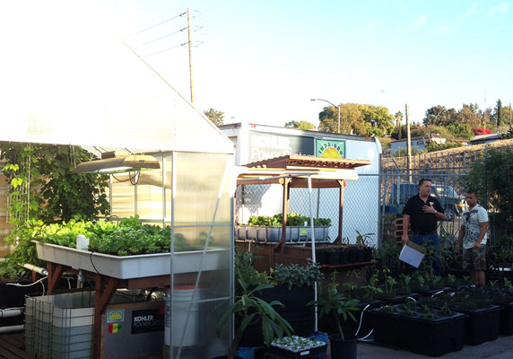 _indagro_CEO_best_marijuana_growlights_grow_your_own_food_grow_lights_aquaponics_darylcotton_10