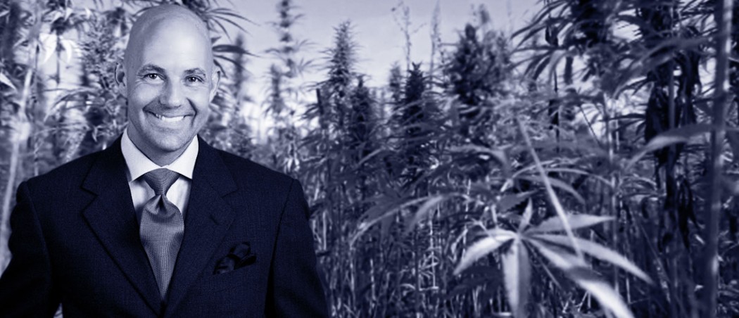 stuarttomc_nutrition_cannavest_CBD_cannabidiol_insight_interview_aboutCBD_benefits_medical_recreational_hemp_cannabis_marijuana_fishoil_spices_cannaeo_cashinbis