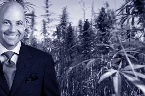 stuarttomc_nutrition_cannavest_CBD_cannabidiol_insight_interview_aboutCBD_benefits_medical_recreational_hemp_cannabis_marijuana_fishoil_spices_cannaeo_cashinbis