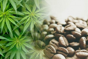 americanna_cafe_USMJ_AGLA_coffee_juice_smoothie_hemp_cannabis_thc_cbd_infused_cashinbis