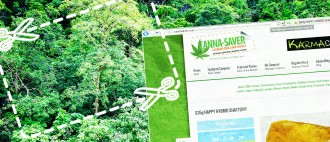 cannasaver_coupon_code_king_save_cannabis_marijuana_tommy_chong_brian_shapiro_cashinbis_main