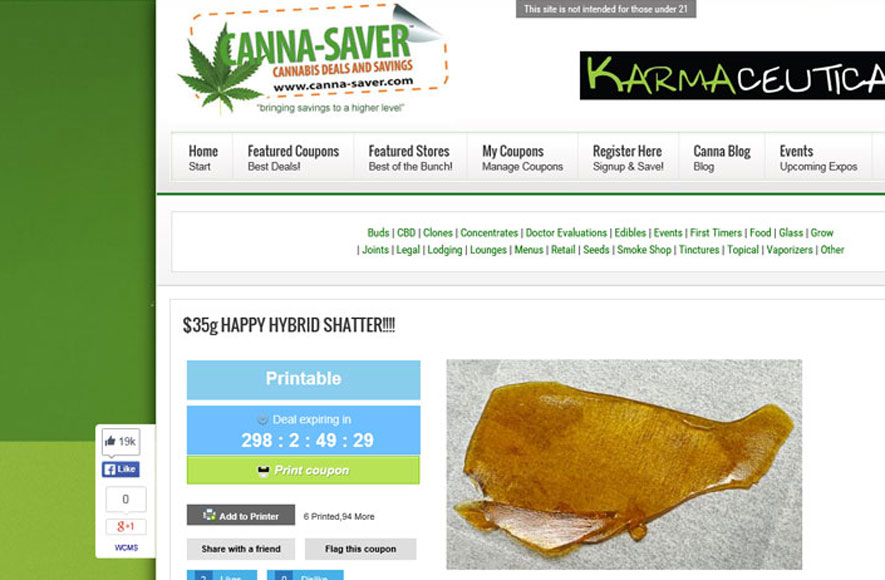 cannasaver_coupon_code_king_save_cannabis_marijuana_tommy_chong_brian_shapiro_cashinbis_new1