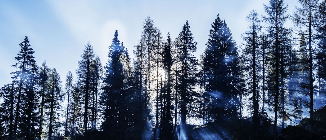 Colorado Landscape