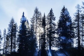 Colorado Landscape
