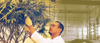 grow_condos_grwc_wayne_zallen_under_the_leaf_behind_scenes_interview_CEO_entrepreneur_questions_interview_cashinbis.