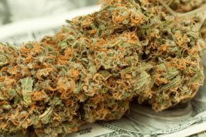 Report: Global Marijuana Market Will Surge to $63.5 Billion By 2024