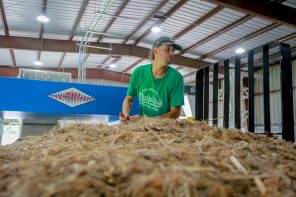 While Washington Questions Cannabis, Industrial Hemp Industry Has Major Support